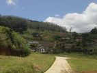 Main Road Land for Sale - Nuwara Eliya