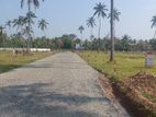 Main Road Land in Negombo - TR 196