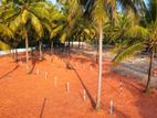 Main Road Near Land for sale in Melsiripura K1 23/07