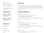 Make Your Professional CV / Resume (Bio Data) (Including Cover letter)