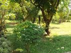 Malabe : 10P Highly Residential Land for Sale at Kahanthota