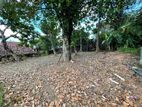 Malabe - Bare Land for sale