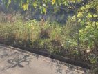 Malabe best RESIDENTIAL LAND for sale in Welivita road
