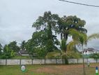 Malabe Land for Sale C33