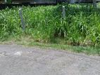 Malabe Land for Sale in Jothipala Mawatha