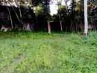 Malabe Prime Location 12 P Land for Sale