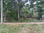 Malabe Thalahena Land For Sale
