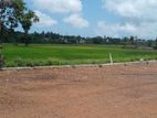 Malabe Town paddy field facing land for sale .