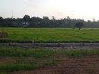 Malabe Town paddy field facing land for sale .