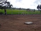 Malabe Town paddy field facing land for sale .
