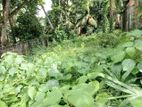 Malabe Udawatta Road 10 Perches Land for Sale .....