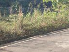 Malabe Welivita Land for Sale Close to Nevil F'do Hospital