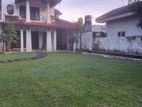 Malasiyan Carpet Grass