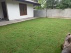 Malasiyan Carpet Grass