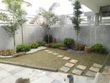 Malaysian and Australian Grass Landscaping
