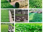 Malaysian Garden Grass Interlock Paving Landscaping