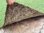 Malaysian Garden Grass with Interlock paving