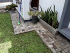 Malaysian Grass