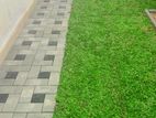 Malaysian Grass & Interlock paving