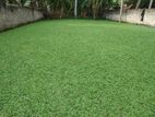 Malaysian Grass and Interlock Paving