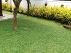 Malaysian Grass with Interlock Paving