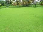 Malaysian Grass and Interlock Paving Service