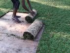 Malaysian Grass Carpet Fitting Service