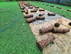 Malaysian Grass Carpet