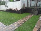 Malaysian Grass Carpet With Interlock Paving Design Landscaping