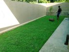 Malaysian Grass