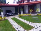 malaysian grass for sale