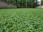 Malaysian Grass Fitting Sevice