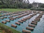 Malaysian Grass Interlock Paving Blocks