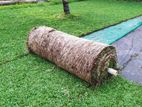 Malaysian Grass Interlock Stones