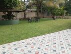 Malaysian Grass Supply Interlock Paving Landscaping