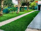 Malaysian Grass with Interlock