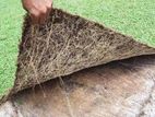 Malaysian Grass with Interlock Paving