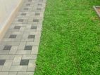 Malaysian Grass with Interlock Paving