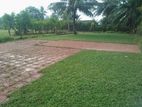 Malaysian Grass with Interlock Stones