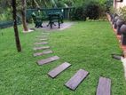 Malaysian Grass with Paving