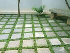 Malaysian Hybrid Grass Interlock Laying