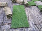 Malaysian Grass Carpet