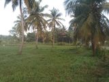 Malsiripura- Madahapola Road Land for Sale – 1 Acre 20 Perches