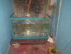 Fish Tank