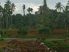 Malwana - Udumapitagama 520 Perch Land for Sale