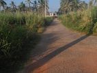 Land for Sale Diyakalamulla