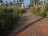 Land for Sale Diyakalamulla