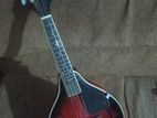 Mandolin
