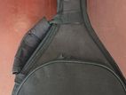 Mandolin Padded Hardcase