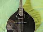 Starson Mandolin